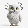 Practice Questions