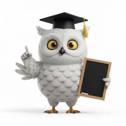 Ollie the Tutor